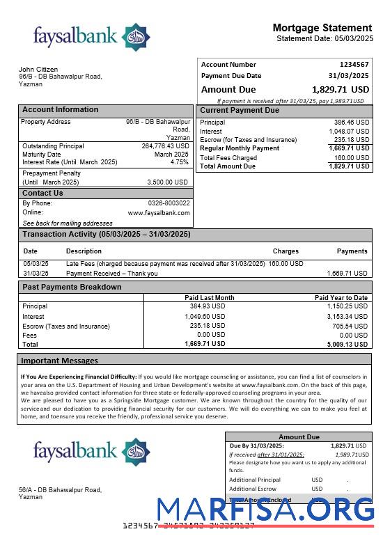 Realistic Pakistan Faysal mortgage statement in Word and PDF formats template